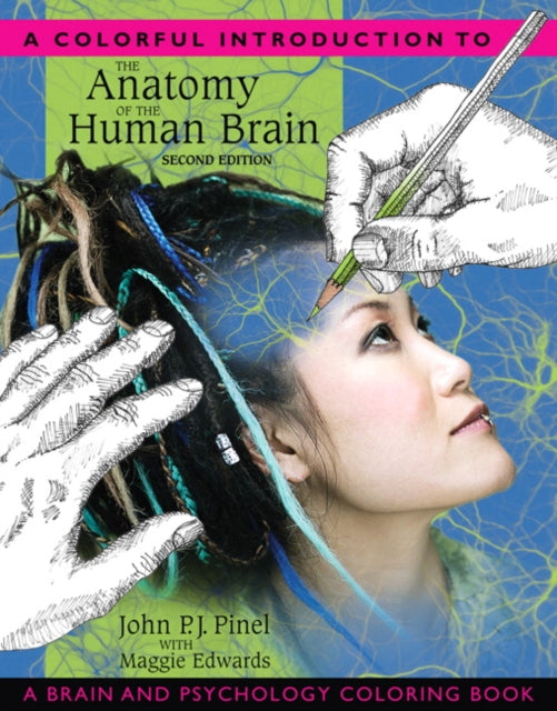 Book cover of: Colorful Introduction to the Anatomy of the Human Brain, A. By: John P.J. Pinel