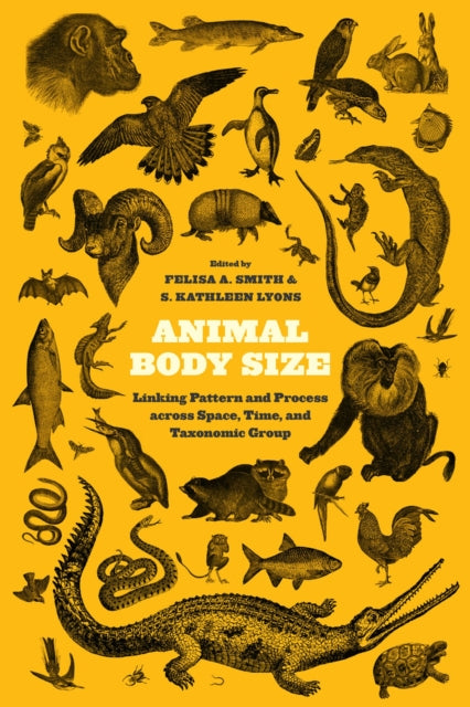 Book cover of: Animal Body Size