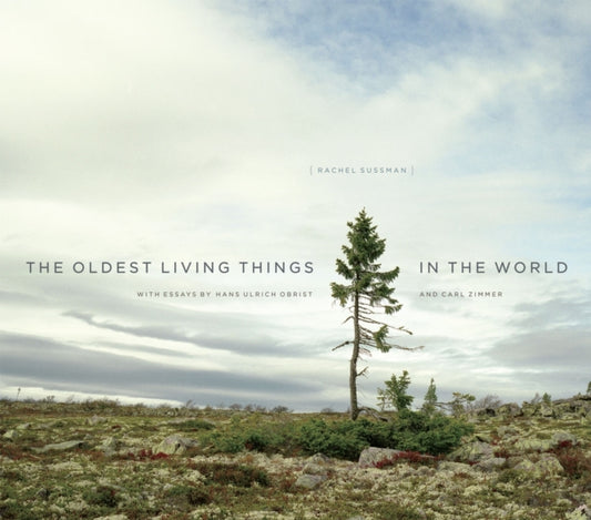 Book cover of: Oldest Living Things in the World