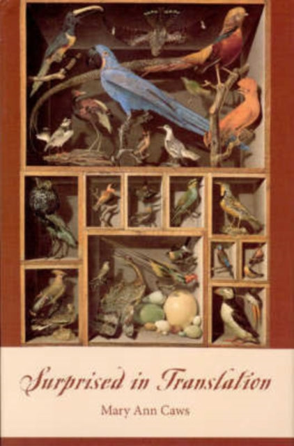 Book cover of: Surprised in Translation. By: Mary Ann Caws