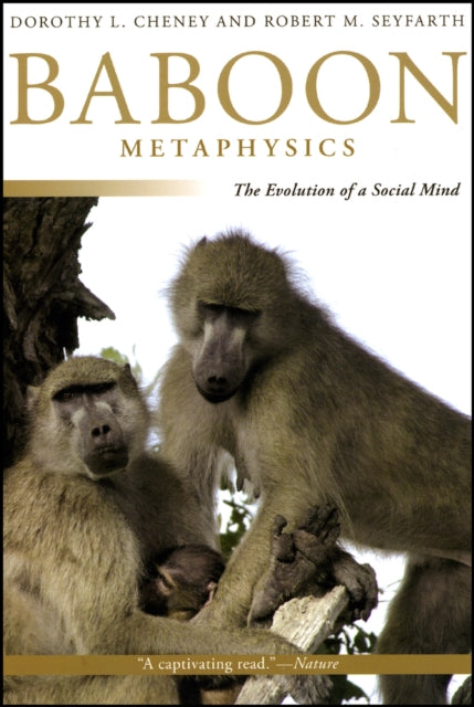 Book cover of: Baboon Metaphysics. By: Dorothy L. Cheney