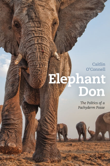 Book cover of: Elephant Don. By: Caitlin O'Connell