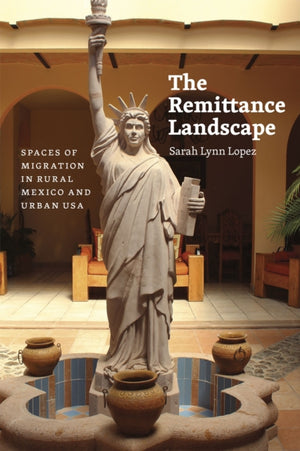 Remittance Landscape