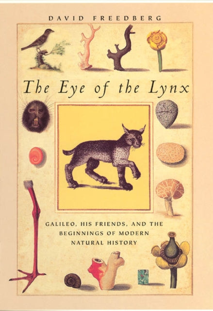 Book cover of: Eye of the Lynx. By: David Freedberg