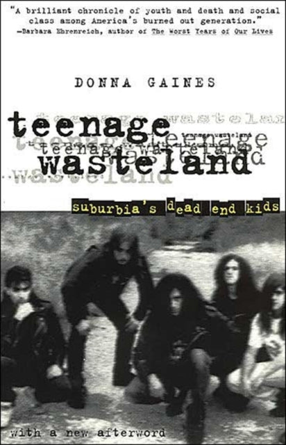 Book cover of: Teenage Wasteland