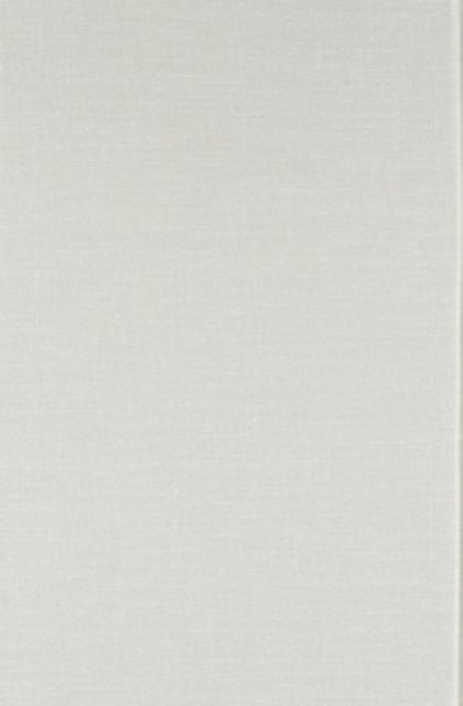 Book cover of: Metrical Stress Theory