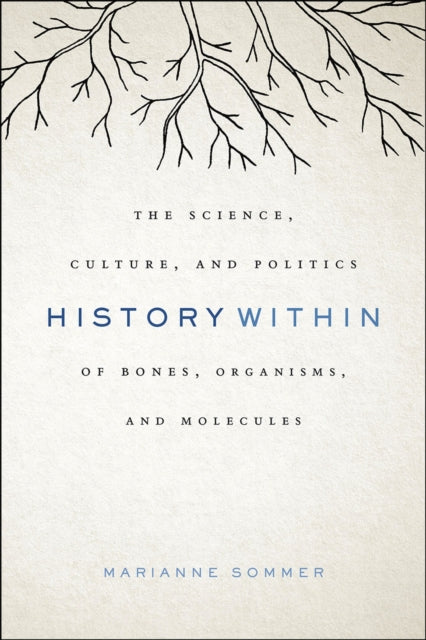 Book cover of: History Within. By: Marianne Sommer