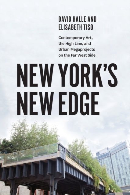 Book cover of: New York's New Edge. By: David Halle