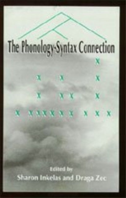 Book cover of: Phonology-Syntax Connection