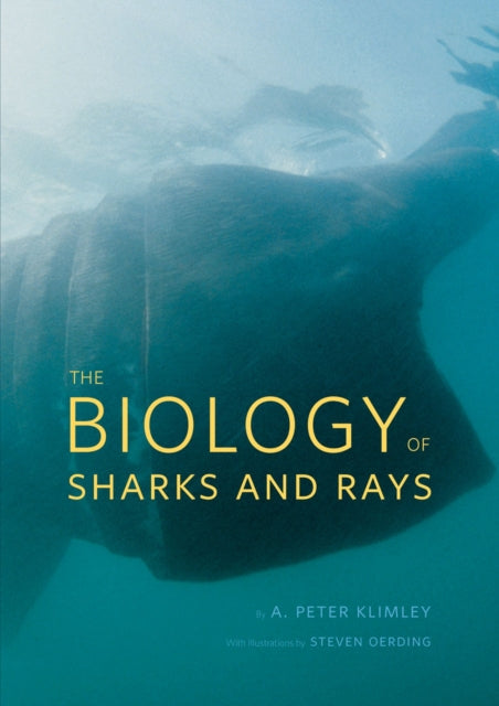 Book cover of: Biology of Sharks and Rays. By: A. Peter Klimley
