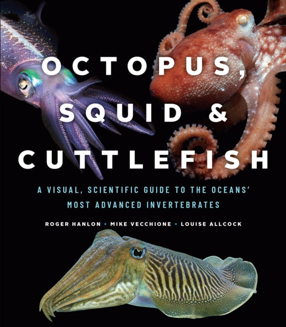 Book cover of: Octopus, Squid, and Cuttlefish. By: Roger Hanlon
