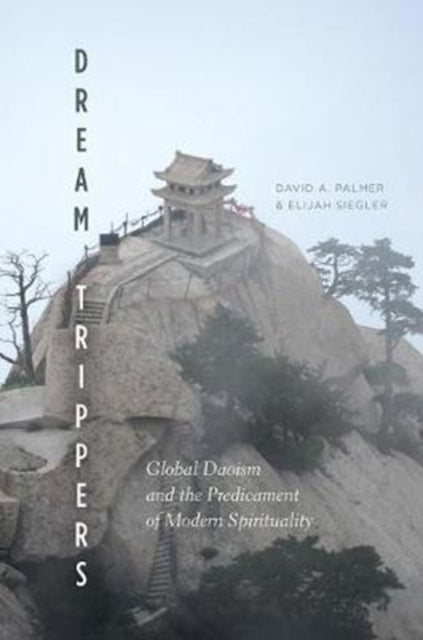 Book cover of: Dream Trippers. By: David A. Palmer