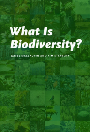 What Is Biodiversity?