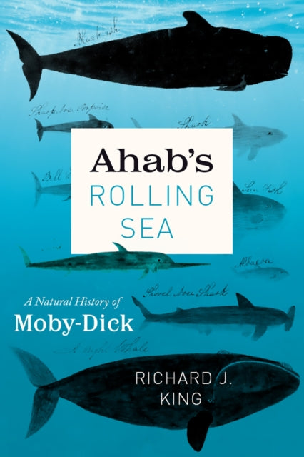 Book cover of: Ahab's Rolling Sea. By: Richard J. King