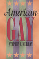 Book cover of: American Gay