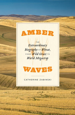 Amber Waves, The Extraordinary Biography of Wheat, from Wild Grass to World Megacrop