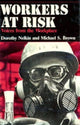 Book cover of: Workers At Risk