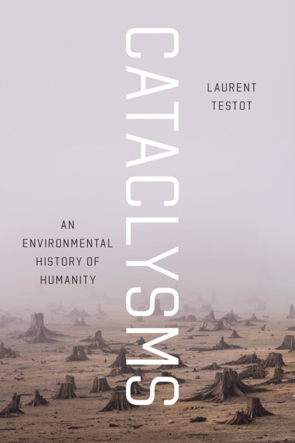 Book cover of: Cataclysms. By: Laurent Testot