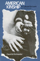 Book cover of: American Kinship