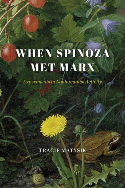 Book cover of: When Spinoza Met Marx. By: Tracie Matysik