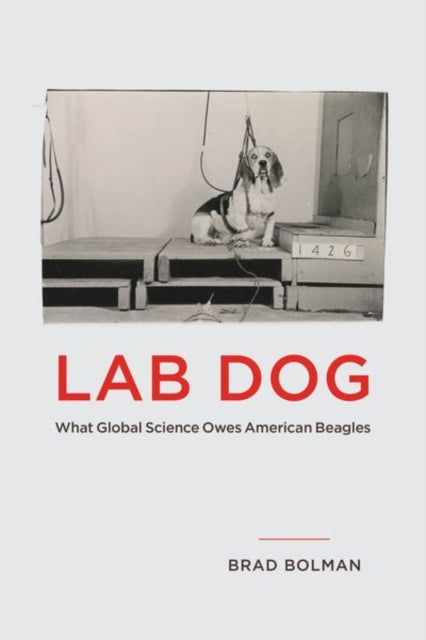Book cover of: Lab Dog