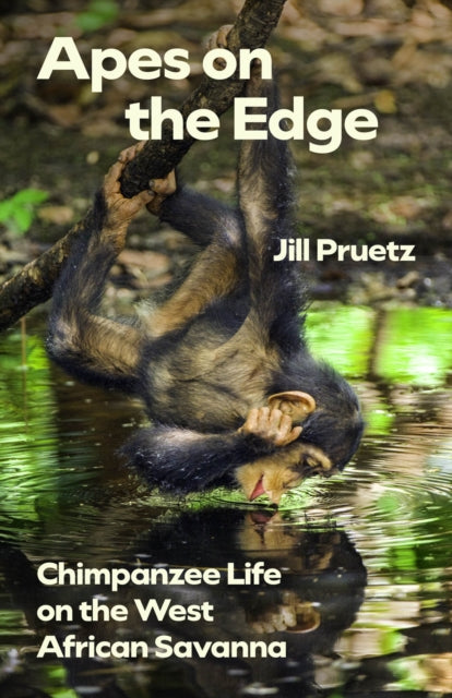 Book cover of: Apes on the Edge