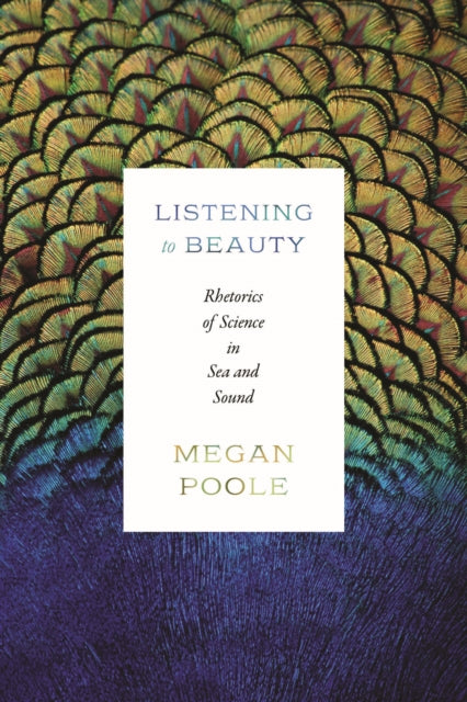 Book cover of: Listening to Beauty