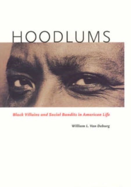 Book cover of: Hoodlums. By: William L. Van Deburg