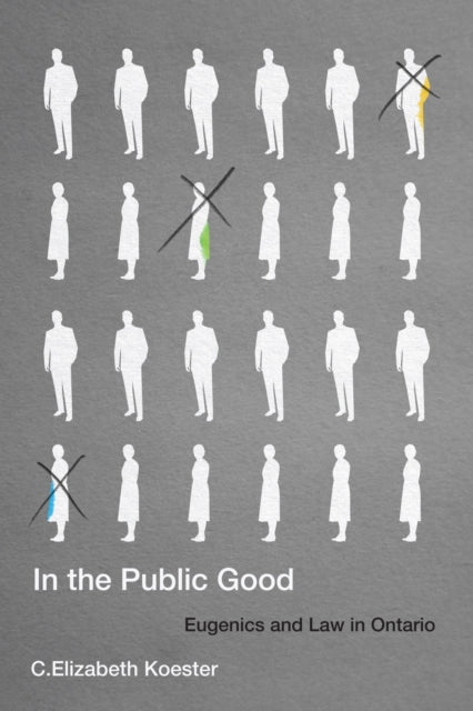 Book cover of: In the Public Good. By: C. Elizabeth Koester