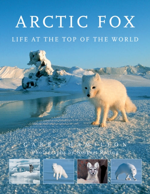 Book cover of: Arctic Fox. By: Garry Hamilton