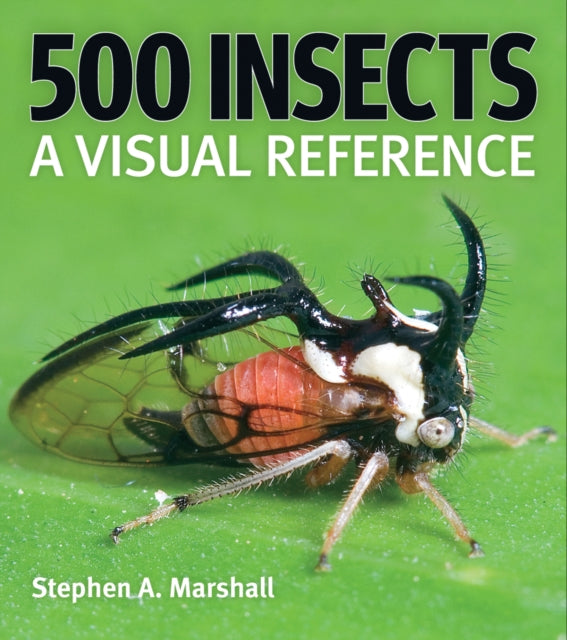 Book cover of: 500 Insects: A Visual Reference. By: Stephen A. Marshall