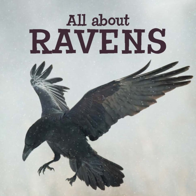Book cover of: All about Ravens. By: Inhabit Education