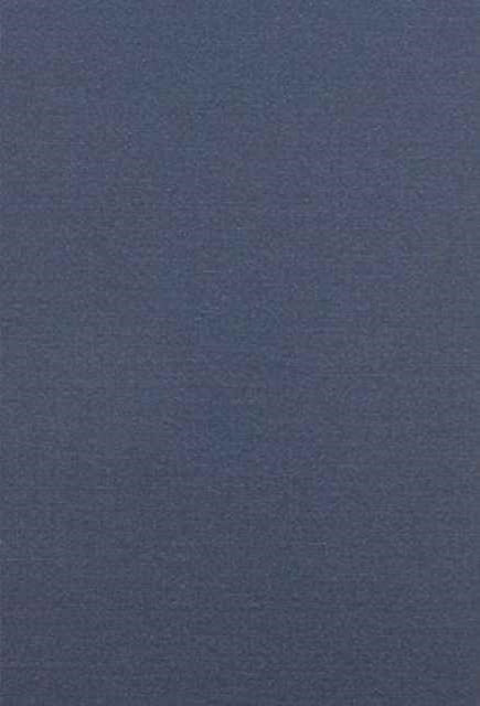 Book cover of: Movement and Institution