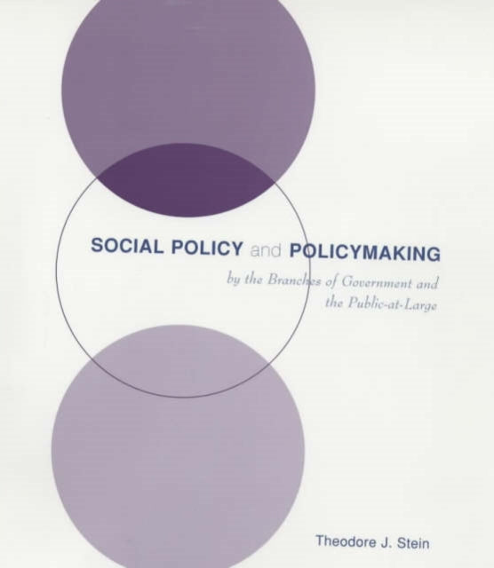 Book cover of: Social Policy and Policymaking by the Branches of Government and the Public-at-Large. By: Theodore J. Stein