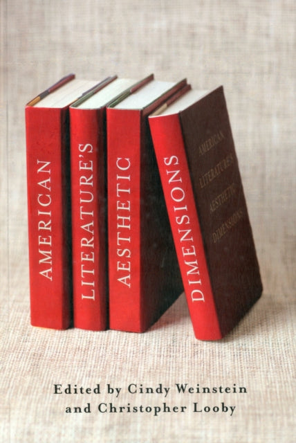 Book cover of: American Literature’s Aesthetic Dimensions. By: Cindy Weinstein