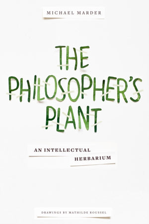 Philosopher's Plant