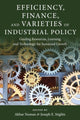 Book cover of: Efficiency, Finance, and Varieties of Industrial Policy. By: Akbar Noman