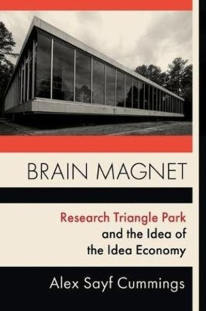 Book cover of: Brain Magnet. By: Alex Cummings