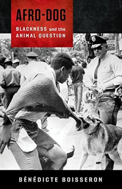 Book cover of: Afro-Dog. By: Bénédicte Boisseron