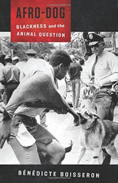 Book cover of: Afro-Dog. By: Bénédicte Boisseron