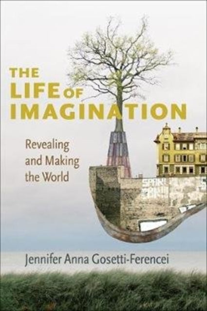 Book cover of: Life of Imagination. By: Jennifer Anna Gosetti-ference