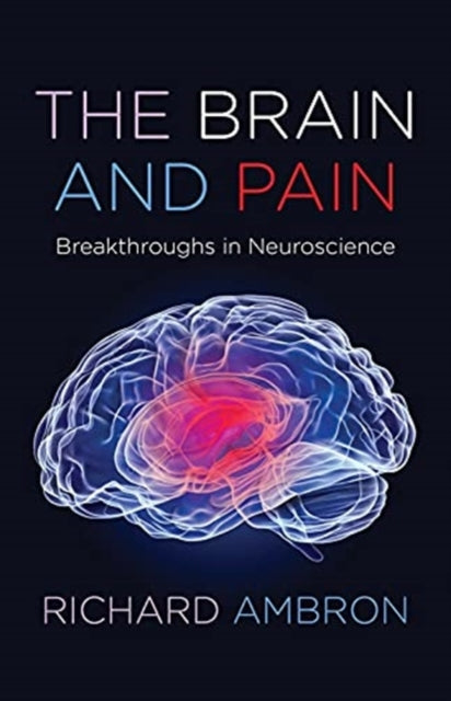 Book cover of: Brain and Pain. By: Richard Ambron