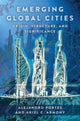 Book cover of: Emerging Global Cities. By: Alejandro Portes