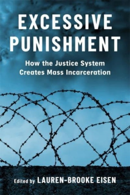Book cover of: Excessive Punishment. By: Lauren-Brooke Eisen