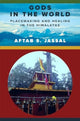 Book cover of: Gods in the World. By: Aftab S. Jassal