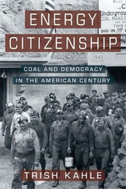 Book cover of: Energy Citizenship. By: Trish Kahle