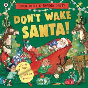 Don't Wake Santa, A lift-the-flap Christmas book