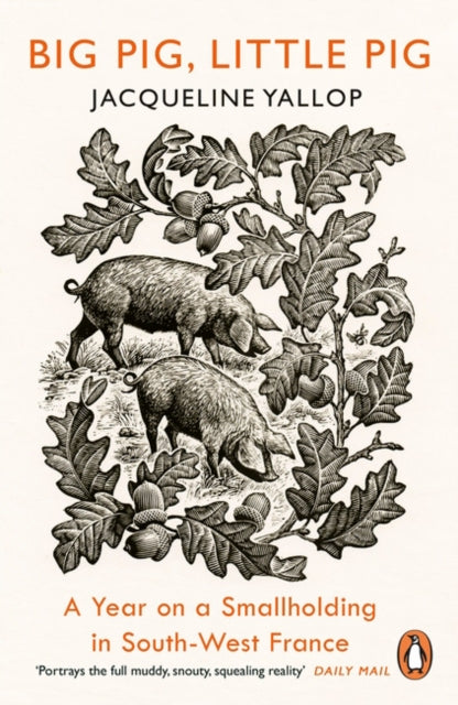 Book cover of: Big Pig, Little Pig. By: Jacqueline Yallop