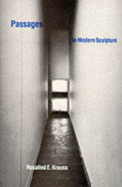 Book cover of: Passages in Modern Sculpture