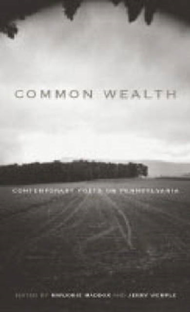 Book cover of: Common Wealth